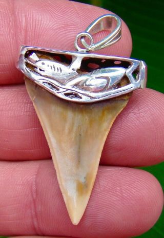 MAKO SHARK Tooth Necklace Pendant - 1 & 9/16 in.  SILVER CAP - 100 REAL 2