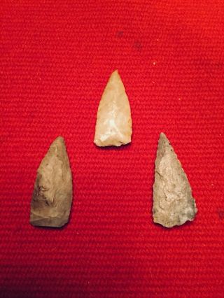 Indian Artifacts / 3 Fine Ohio Ft Ancient Triangle Points / Authentic Arrowheads