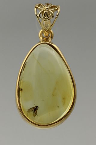 Fossil Insect Gnat Baltic Amber Silver Gold Plated Pendant 5g P1607012 - 2