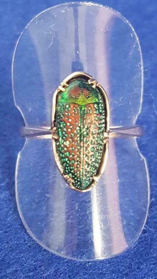 Edwardian Arts & Crafts 9ct Gold Ring Iridised H/m Glass Butterfly Chrysalis P/8
