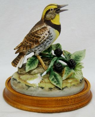 Andrea By Sadek Meadowlark Porcelain Figurine W/ Stand 6 3/4 " Japan Bird B1584