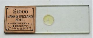 Antique MICROPHOTO MICROSCOPE SLIDE by J.  STOVIN of a £1000 NOTE 2