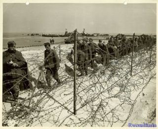 Press Photo: D - Day Captured Wehrmacht Pow 