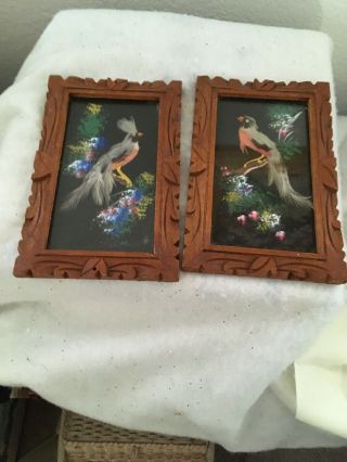 Vitg Mexican Folk Art Feather Craft Bird Picture Carved Frame.  6 1/2 By 9 1/2 "