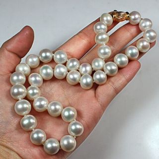 100 Natural 14k Gold Indonesia White Fresh Water Pearl 12mm Necklace Ycdz12