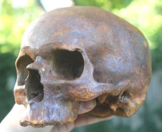 European Human Skull Iron Theatrical Film Prop Medical Death Mask Oddity Gothic