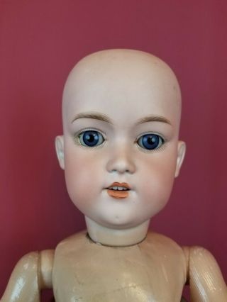 Antique German Bisque Head Doll George Borgfeldt Jointed Repainted Body Sweet