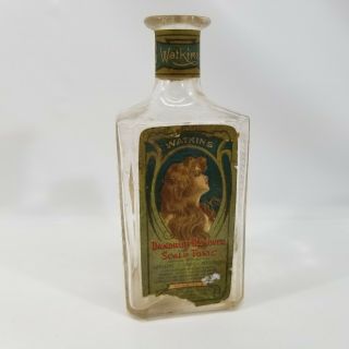 Antique J.  R.  Watkins Medical Company Dandruff Remover And Scalp Tonic Bottle