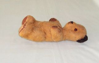 Vintage Chad Valley Sooty Teddy Bear England.  c1950 ' s Mohair Toy 2