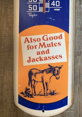 Large Vintage 1950 ' s Dr.  Barkers Horse Mule Liniment 39 
