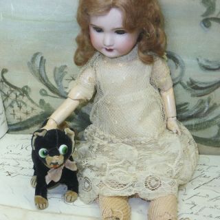 Charming 15 " French Sfbj 301 Antique Bisque Doll Lace Dress Jumeau Bru Unis