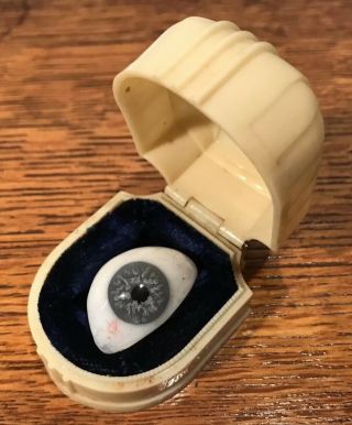 Vintage Antique Glass Human Blue Eye Prosthetic Oddities Macabre In Plastic Case