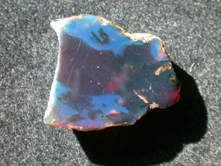 Sky BLUE Amber Fossil Gemstone TOP Quality Piece 10.  6 grams 2