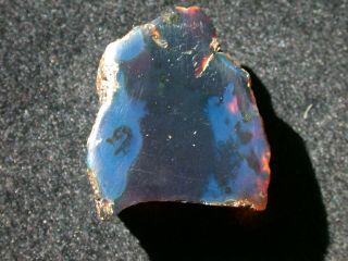 Sky BLUE Amber Fossil Gemstone TOP Quality Piece 10.  6 grams 3