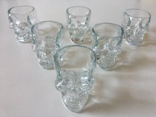 Set Of 6 Crystal Head Vodka Whiskey Skull Shot Glasses 2 Oz Heavy Thick -
