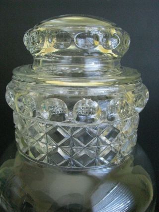 Antique,  Vintage Clear Glass Large Apothecary Drug Store Jar Diamond Thumbprint 2