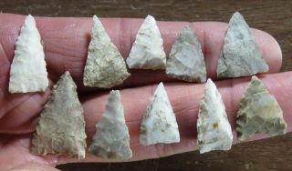 Group Of 10 Mississippian Triangular Points,  Adams County,  Il.  X Browner