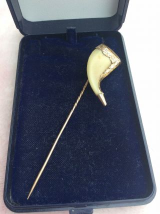 Stunning Antique Raj Tiger Claw Brooch 9ct Gold Stick Pin Large