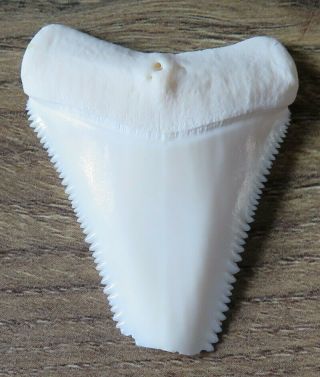 1.  917 " Upper Principle Nature Modern Great White Shark Tooth (teeth)