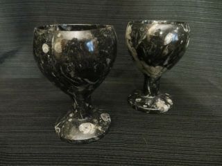 Fossil Goblet From Morocco Made From Sea Fossils That Are Millions Of Years Old.