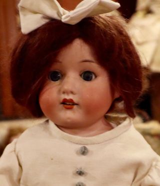 Antique 24 " German Bisque Gebr Heubach 275 Doll W/pretty Outfit & Mohair Wig