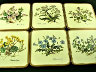 Vintage Pimpernel Six Traditional Coasters Made In England 4 " X 4 " (e7)
