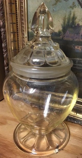 Glass Jar Lid Candy Store Apothecary Pharmacy Dakota Panel Globe Vintage Ground