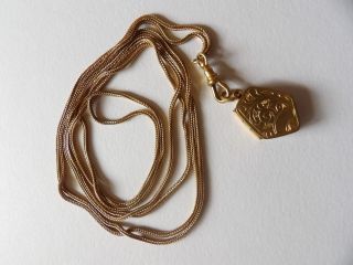 Victorian Pinchbeck Foxtail Link Guard Chain With Locket Fob 20.  4g Sag409 - 3