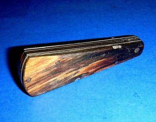 Antique G GREGORY Civil War Era Horn Handle 3 - Blade Fleam,  Blood Letting Device 3