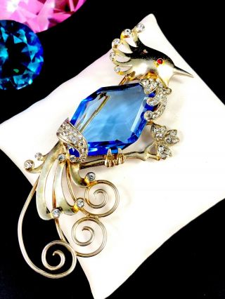 Early 20th Century Sterling Silver Blue Hexagon Glass Bird Of Paradise Brooch