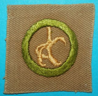 Taxidermy Type A Square Merit Badge - Boy Scouts - 9270