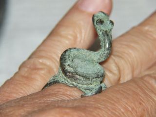 Congo Recovery Slave Trade Ring Highly Cool Snake