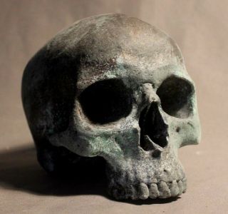 Halloween Human Skull Medical Death Mask Oddity Doctor Theater Gothic Rare