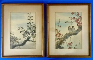 Vtg Two Chinese Watercolor Paintings Birds On Silk Signed W/ Wood Bamboo Frames
