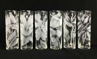 Vintage Arts Hawaii Frank Oda Etched Tropical Glasses 7 " - Set Of 6,  Two W/ Label