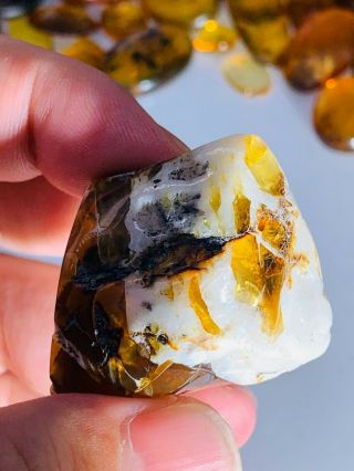 15.  7g Calcite Grow With Amber Burmite Myanmar Amber Insect Fossil Dinosaur Age