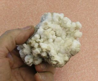 Mineral Specimen Of Coralloidal Calcite From Socrro Co. ,  Mexico
