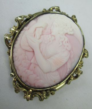 Large Antique Victorian Fine Pink Cameo Brooch Hebe Feeding The Eagle Of Zeus