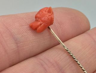 Antique Victorian 9ct Gold Carved Coral Dog Head Cameo Stick - Tie Pin - Brooch
