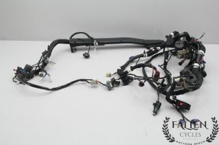 14 - 18 Indian Chief Classic Vintage Chieftain Wiring Wire Harness 24212300
