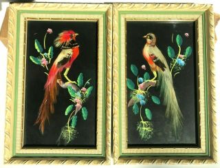 Pair Vtg Mexican Folk Art Feathercraft Bird Real Feather Picture Framed 8”x 5 "
