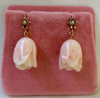 Antique Art Deco Large Well Carved Angelskin Coral 14k Etruscan Gold Earrings
