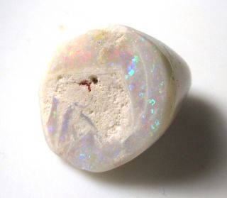 Partial Opalized Belemnite - 15 Ct - Coober Pedy Australia Precious Opal Fossil