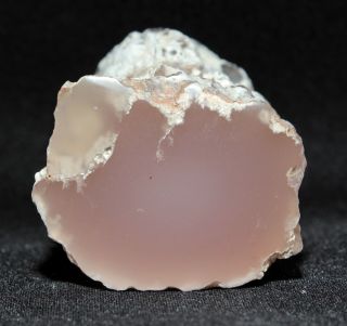 Pink Agate (Chalcedony) Wood from Texas Springs,  Nevada 50 grams Miocene 2