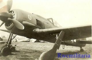 Org.  Photo: Captured Luftwaffe Fw.  190 Fighter Plane (5.  /jg.  4) In Us Markings