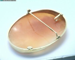 Vintage Large 14K Yellow Gold Shell Cameo 1960 - 70 ' s 10.  8 grams Y257 2
