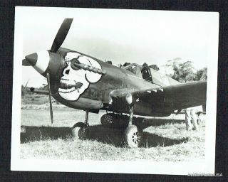 Ww2 Nose Art 4 " X 5 " Photo Burma Banshees P - 40n Warhawk,  80th Fg Rangoon 1944