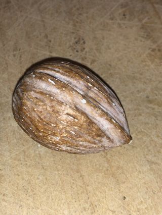 Early Vintage Stone Marble Nut Italian Alabaster Stone Carved Walnut Almond 3