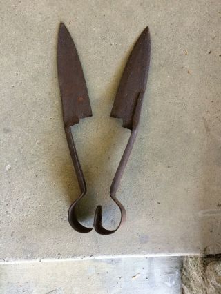 Vintage Sheffield Sheep Shears Wool Clippers