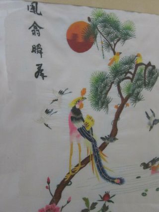 Chinese Birds & Flowers Mid Century VTG Pair Embroidered Silk Panel Framed 19x24 3
